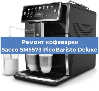 Чистка кофемашины Saeco SM5573 PicoBaristo Deluxe от кофейных масел в Москве